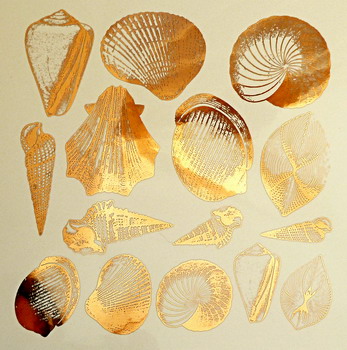 Fusing Decal Muscheln Gold