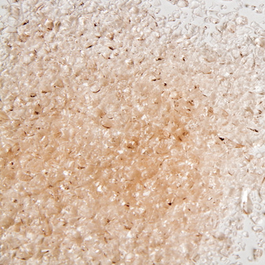 Oceanside Fritte F3-5911-F-4 moyenne 1820g Oceanside Fritte F3-5911-F-4 moyenne 1820g