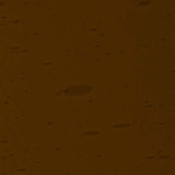 LAMBERTS 3004-F LAMBERTS 3004-F