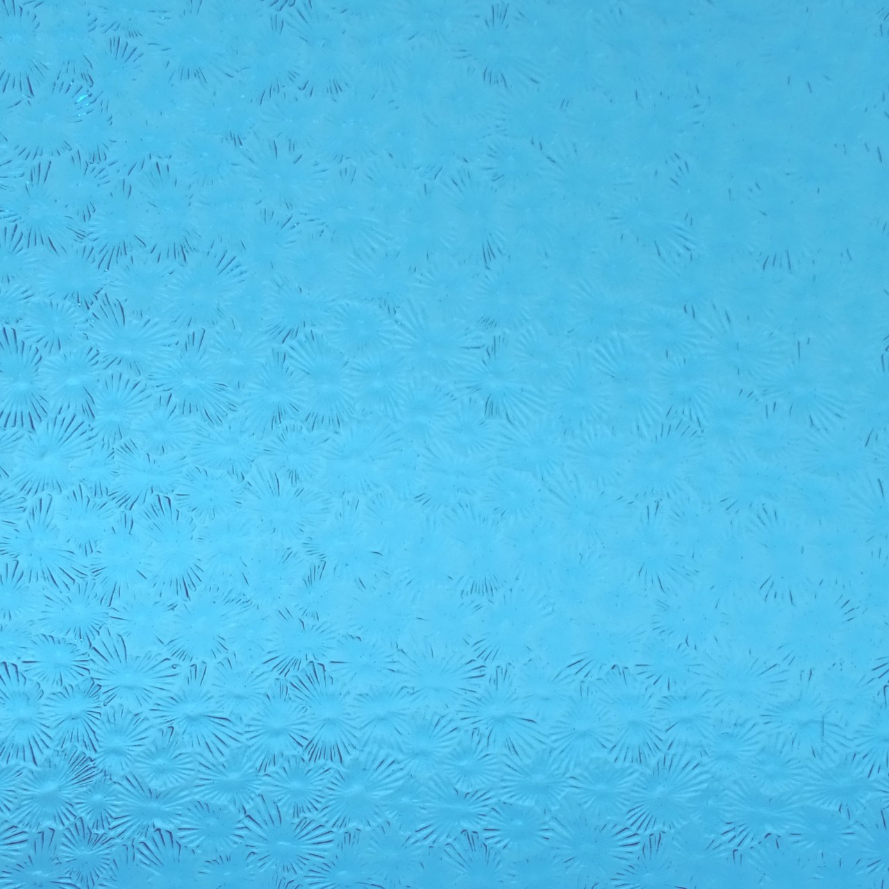 WISSMACH 158 Florentine 82x53cm