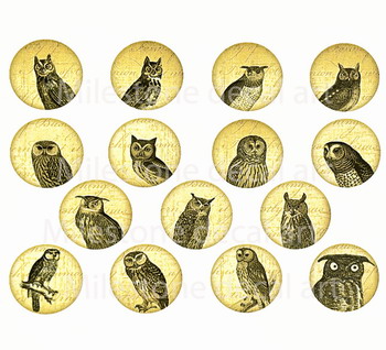 Calcomanía fusing búhos inteligentes- círculos beis/negro Calcomanía fusing búhos inteligentes- círculos beis/negro