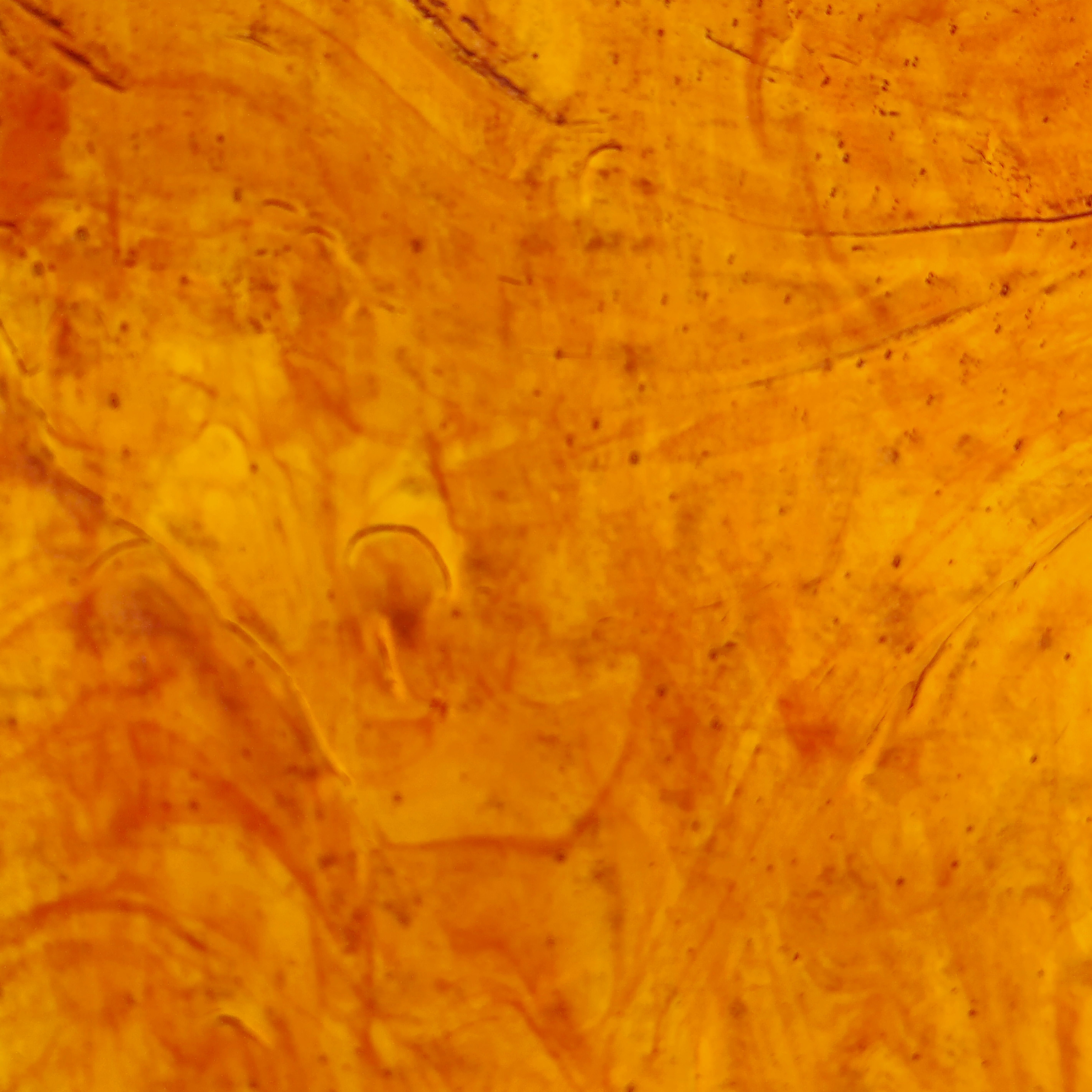 Mississippi River Glass Mirror 2014 MB Mississippi River Glass Mirror 2014 MB