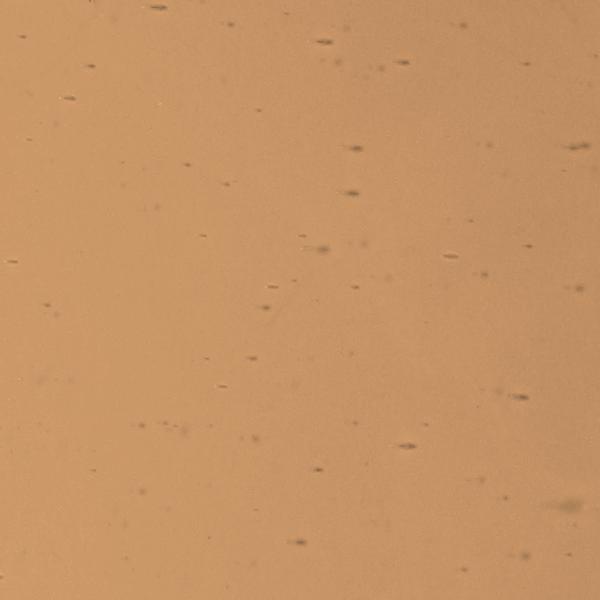 LAMBERTS 1032 U LAMBERTS 1032 U