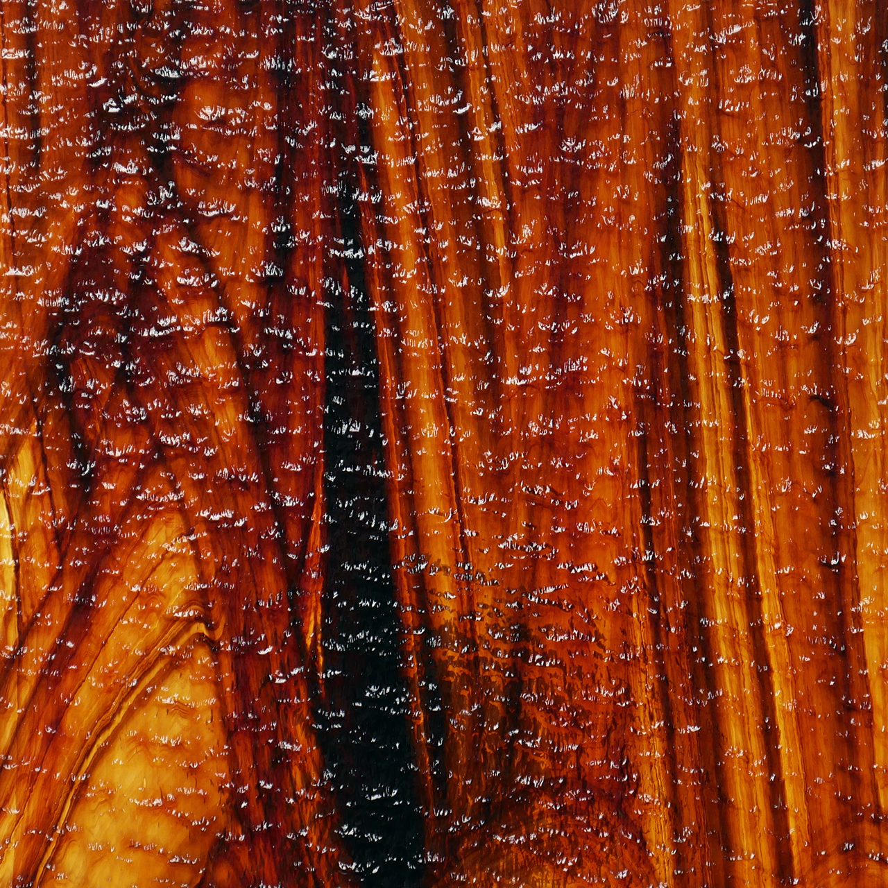 OCEANSIDE Spectrum 411-15G-F OCEANSIDE Spectrum 411-15G-F