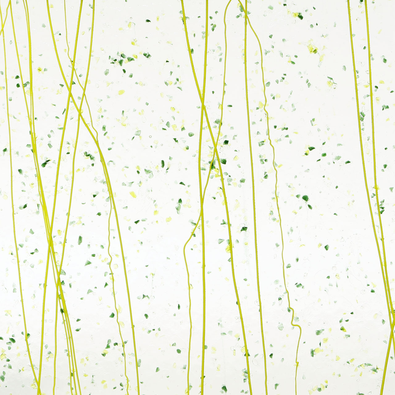 BULLSEYE 4212-00F BULLSEYE 4212-00F