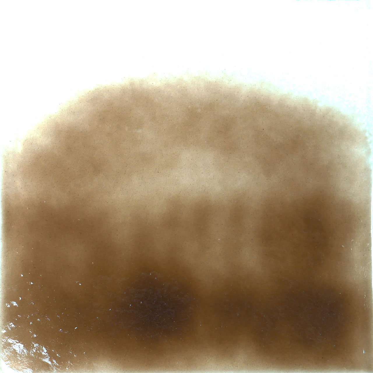 THOMPSON Esmalte 6110 para Float 227g THOMPSON Esmalte 6110 para Float 227g