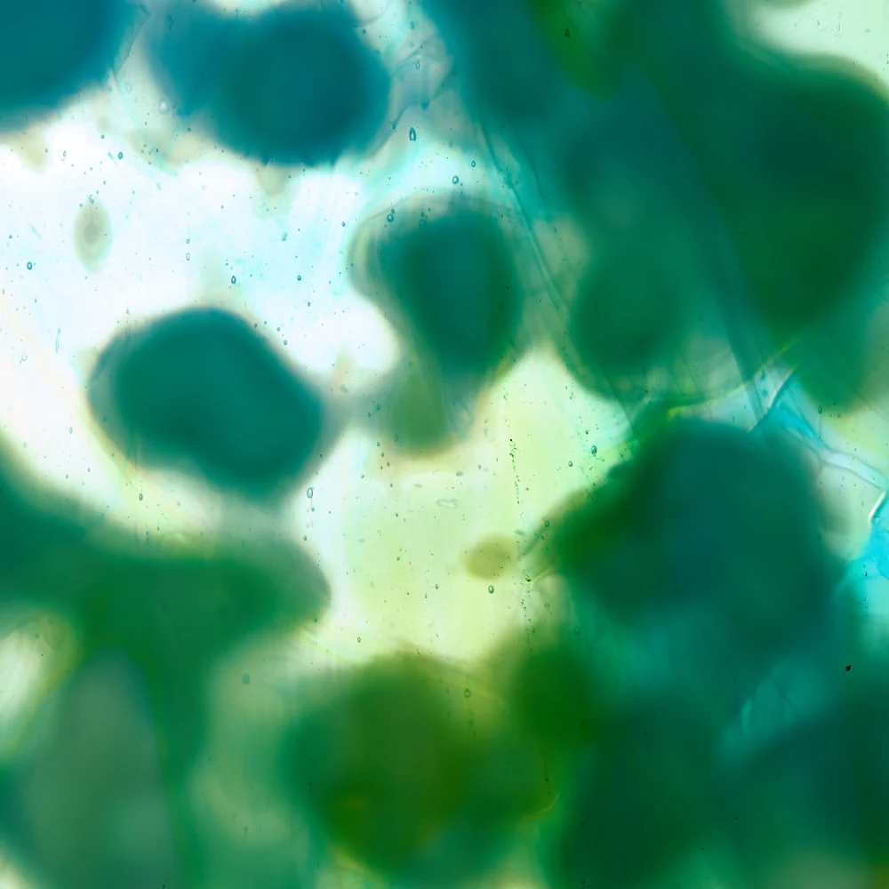 Mississippi River Glass 4016 M Mississippi River Glass 4016 M