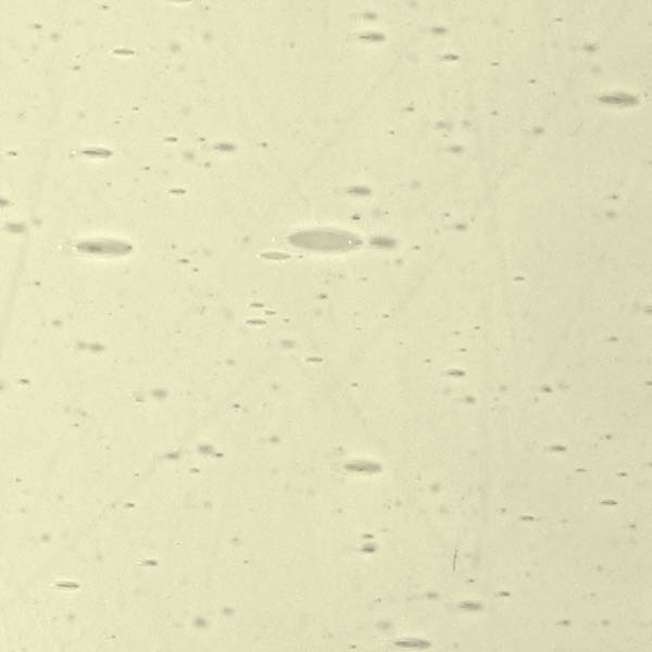 LAMBERTS 216xx LAMBERTS 216xx