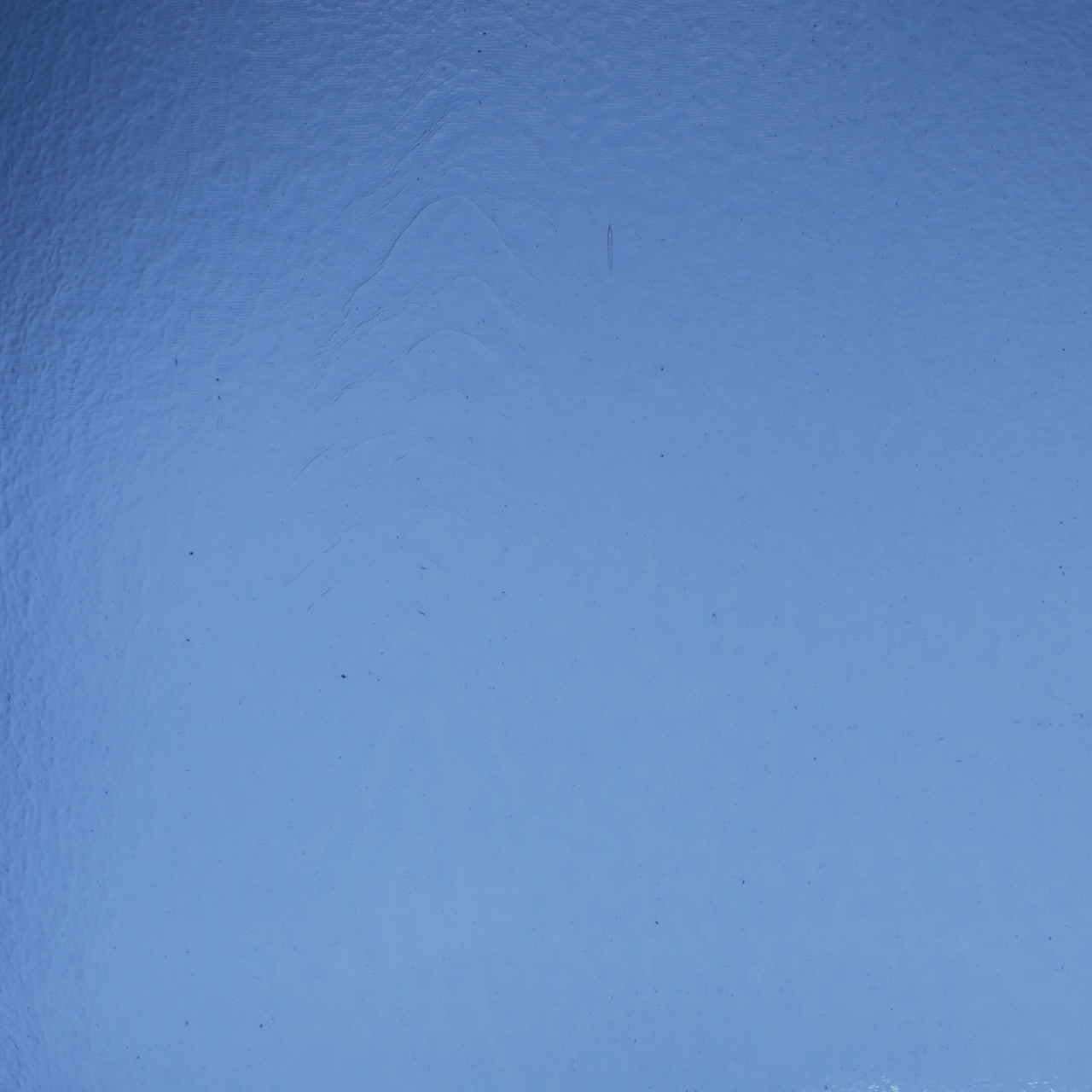 BULLSEYE 1464-50F BULLSEYE 1464-50F