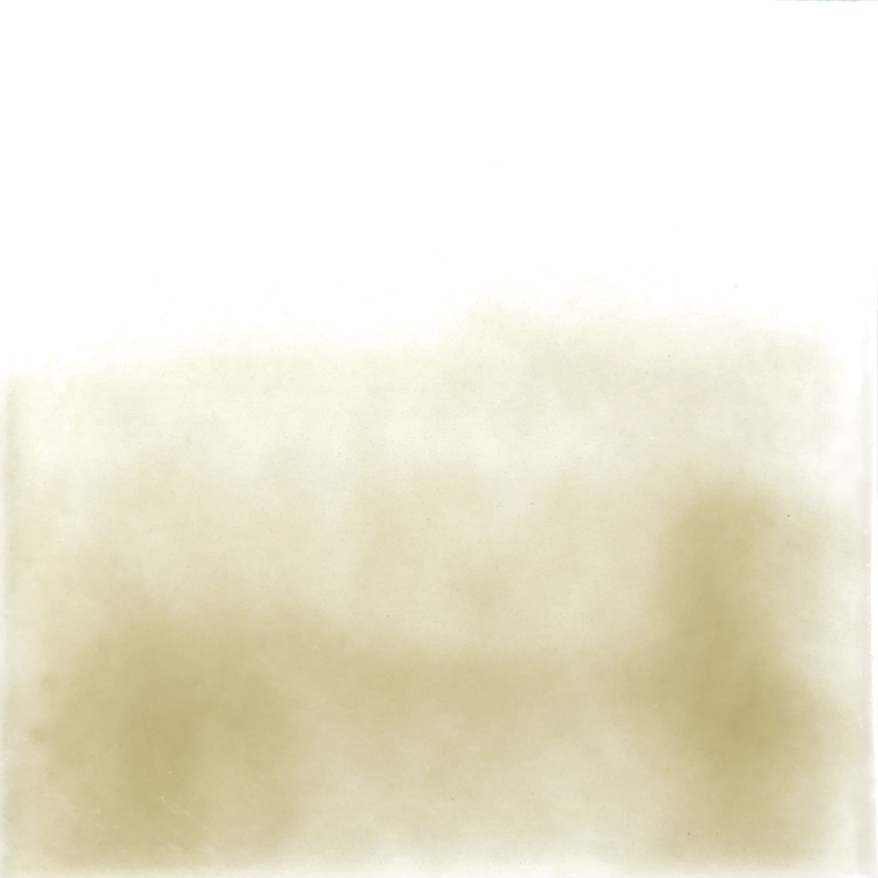 THOMPSON Esmalte 6215 para Float 227g THOMPSON Esmalte 6215 para Float 227g