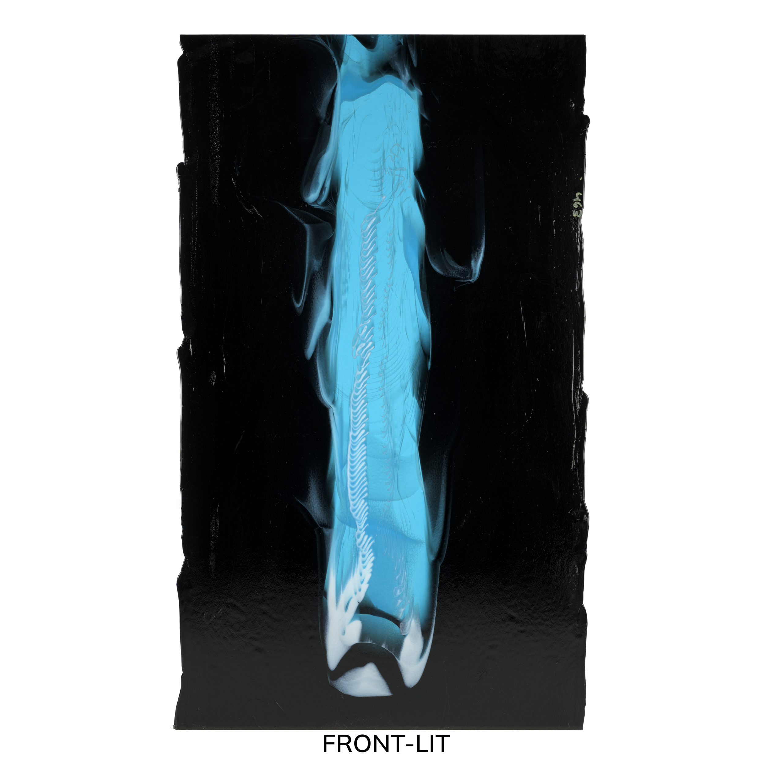 BULLSEYE 51105A-0030-F-Full BULLSEYE 51105A-0030-F-Full