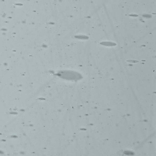 LAMBERTS 381xx LAMBERTS 381xx