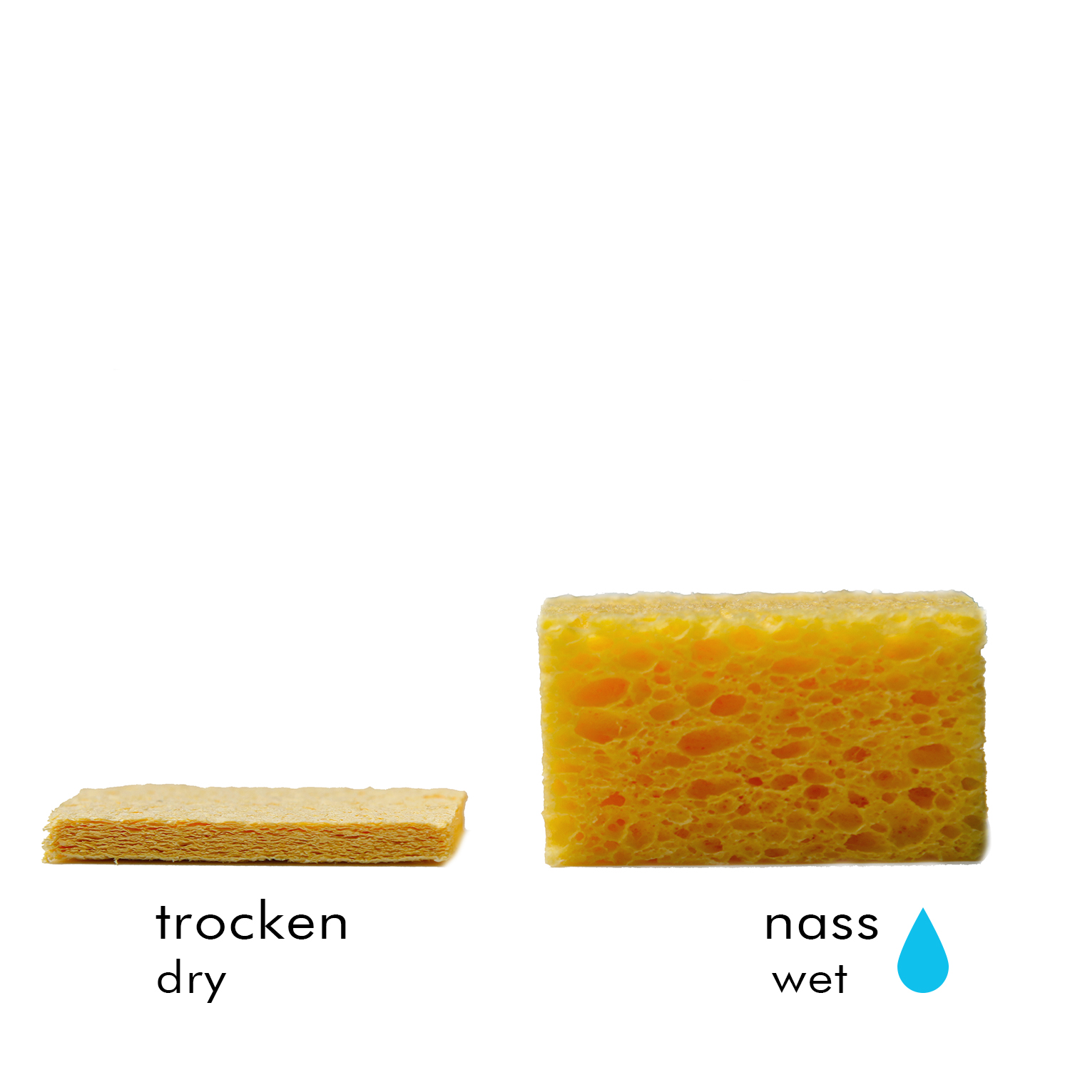 Sponge for Kristall 1 and 1s Sponge for Kristall 1 and 1s