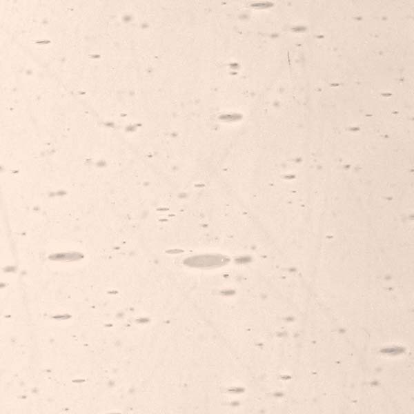 LAMBERTS 739xx LAMBERTS 739xx