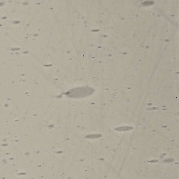 LAMBERTS 1501xx LAMBERTS 1501xx