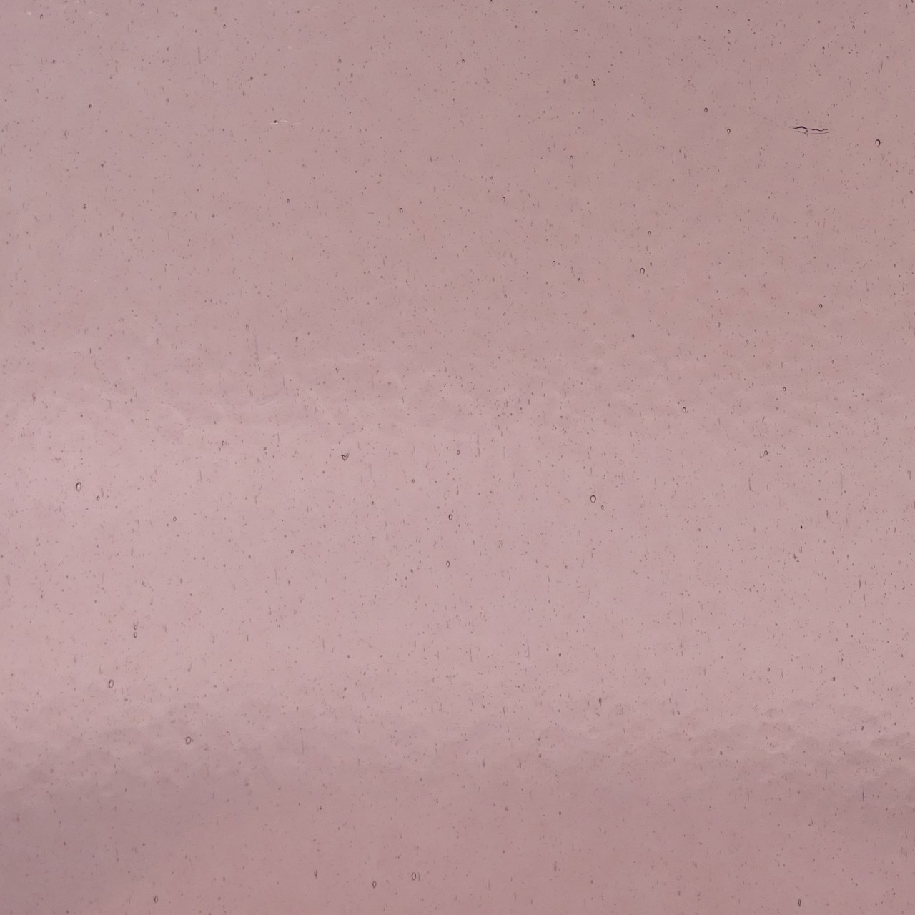 WISSMACH 418 Corella Classic 82x53cm WISSMACH 418 Corella Classic 82x53cm