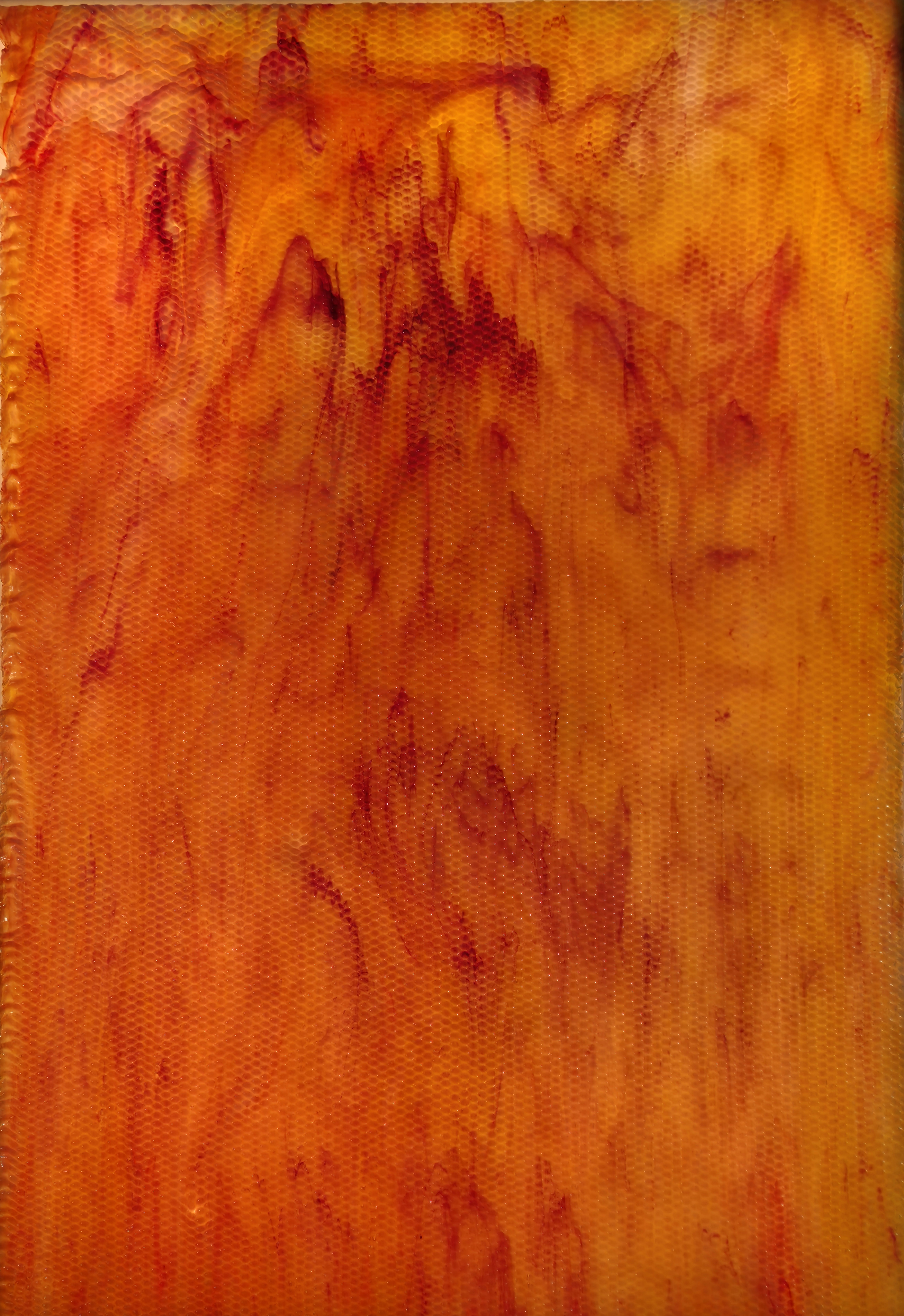 URO by Yougho U-58-Indian Corn URO by Yougho U-58-Indian Corn