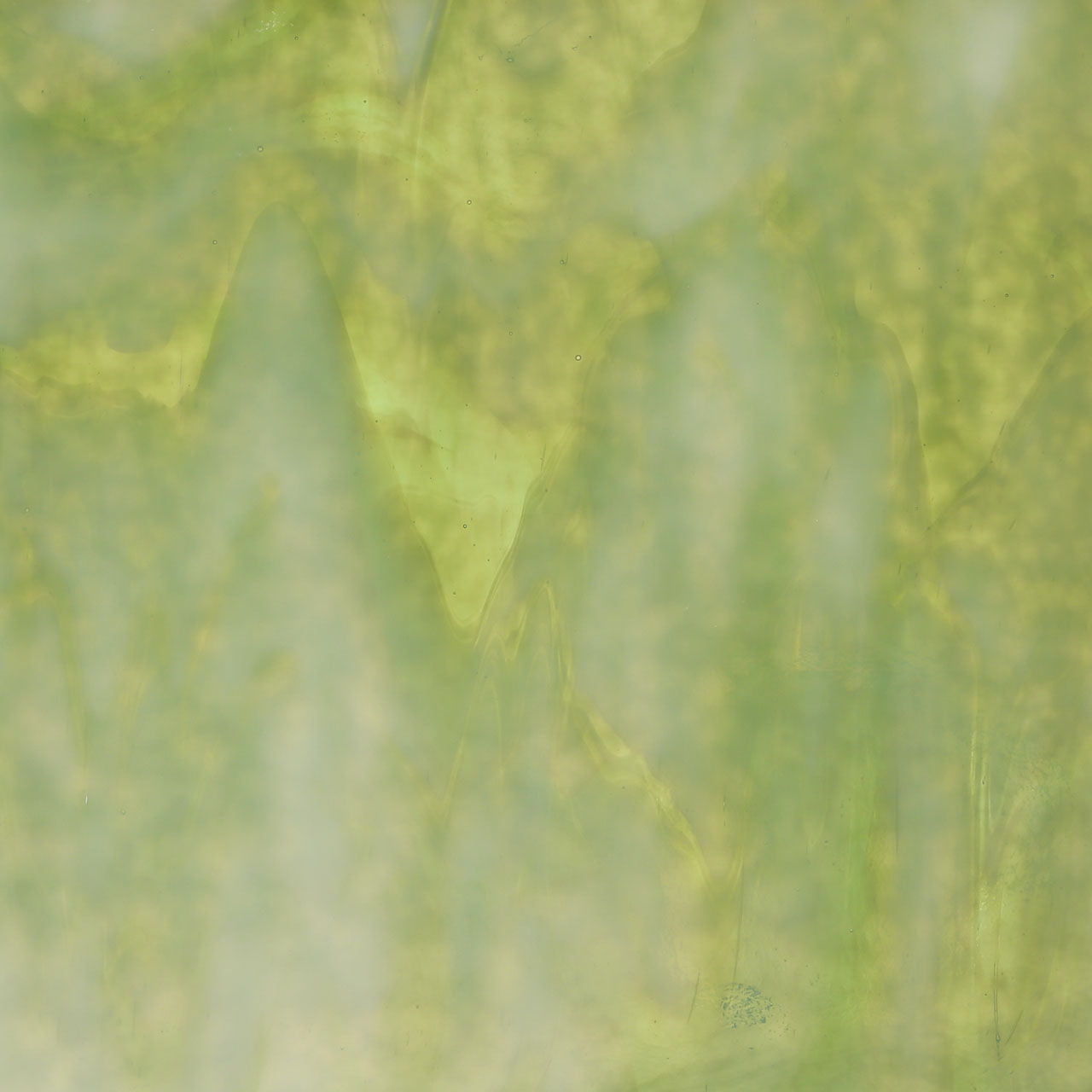 BULLSEYE 2107-00F BULLSEYE 2107-00F