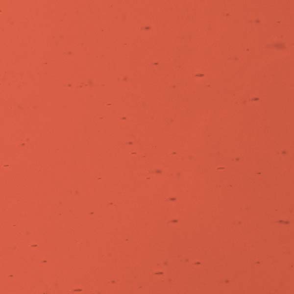 LAMBERTS 1001 U hell LAMBERTS 1001 U hell