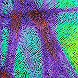 CBS Dichroic S1009 S96 Pixi Stix BG