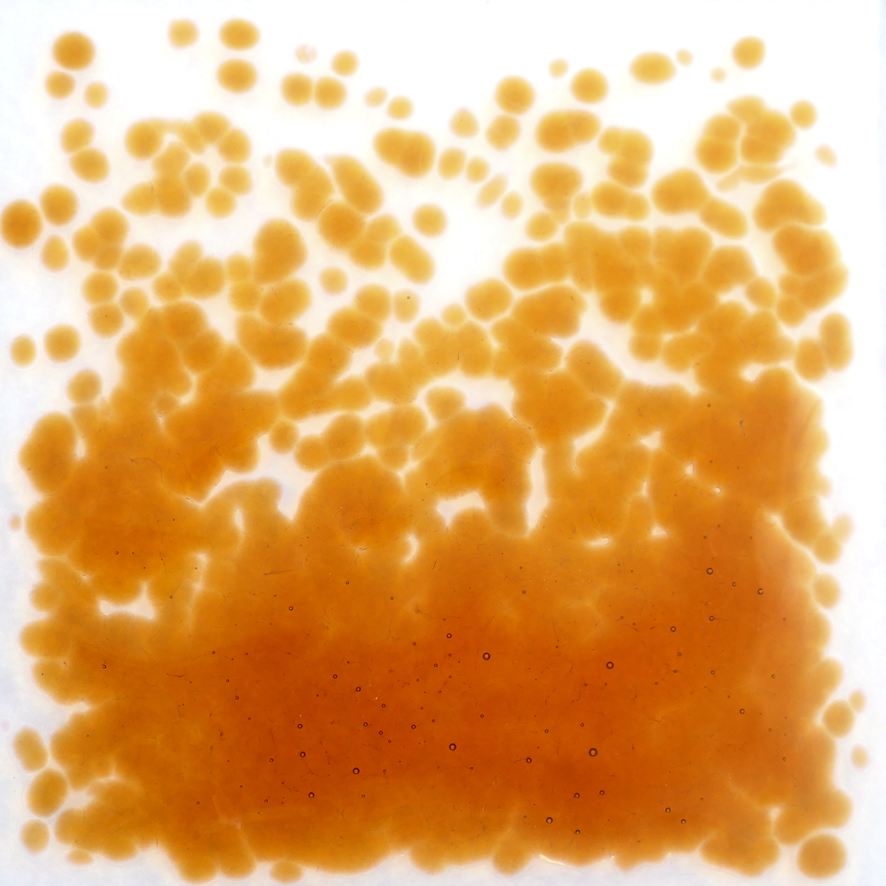 OPTUL FLOAT Fritas 4026 250g K-4 OPTUL FLOAT Fritas 4026 250g K-4