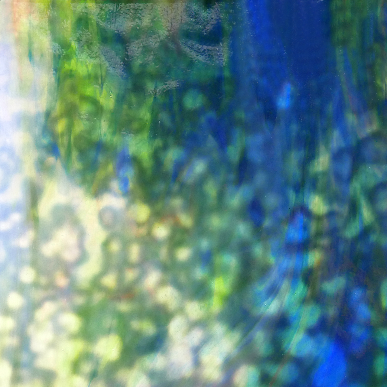 YOUGHIOGHENY Wisteria C YOUGHIOGHENY Wisteria C