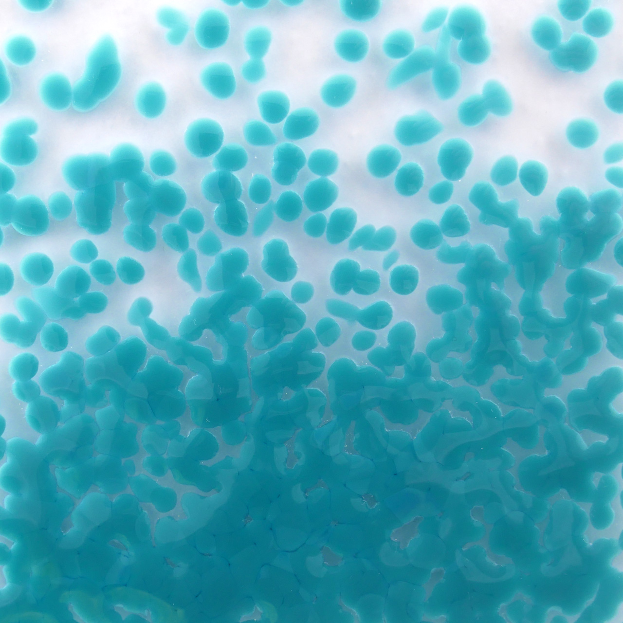 OPTUL FLOAT Frittes 3095 VE=15 kg K-4 OPTUL FLOAT Frittes 3095 VE=15 kg K-4