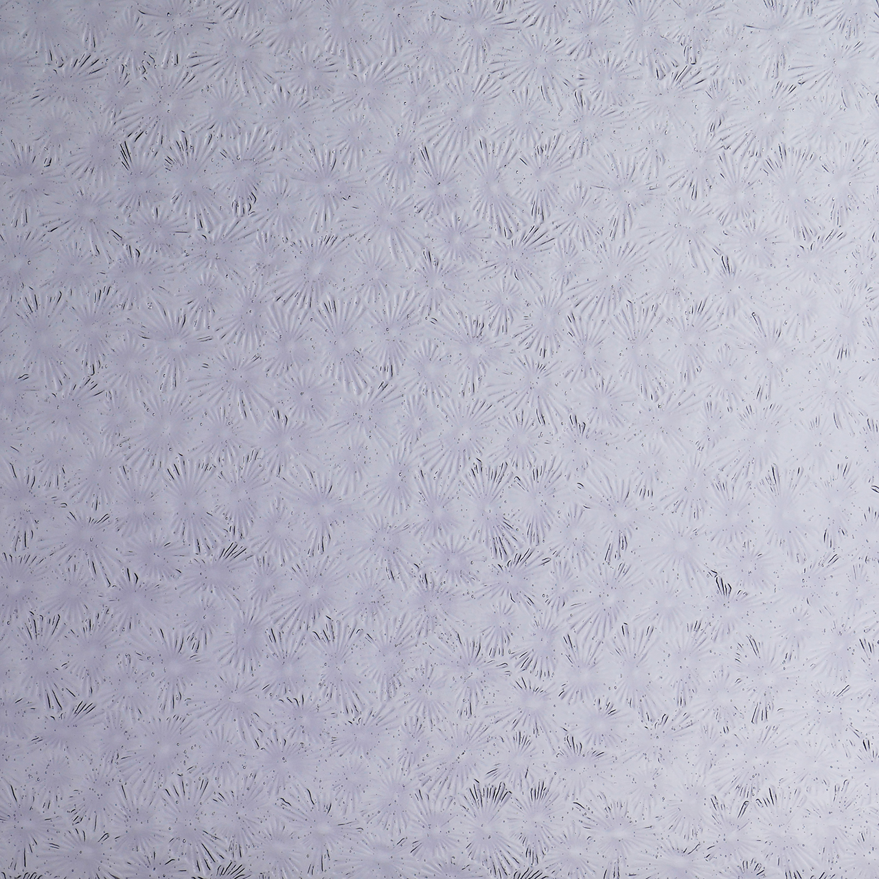 WISSMACH 218 Florentine 82x53cm WISSMACH 218 Florentine 82x53cm