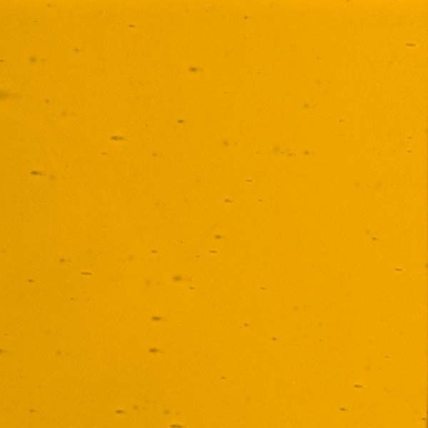 LAMBERTS 1066 U LAMBERTS 1066 U