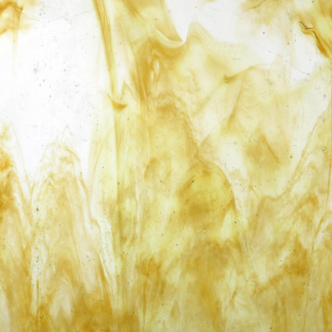 YOUGHIOGHENY Laburnum SP