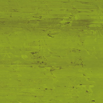 RegaLead Self-adhesive film light green black