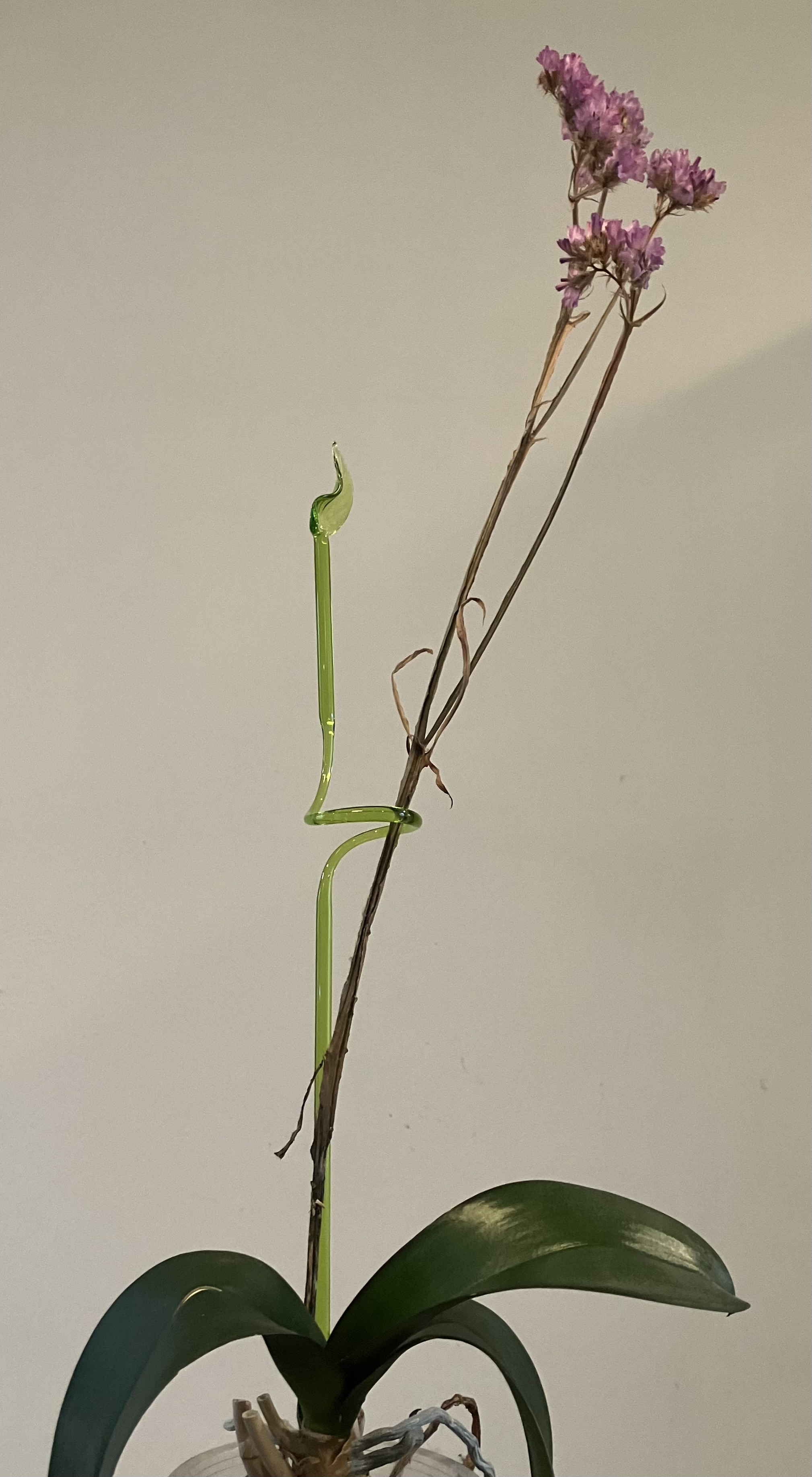 JanHein van Stiphout, Stipglas, Orchid Stick