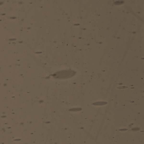 LAMBERTS 575-xh LAMBERTS 575-xh