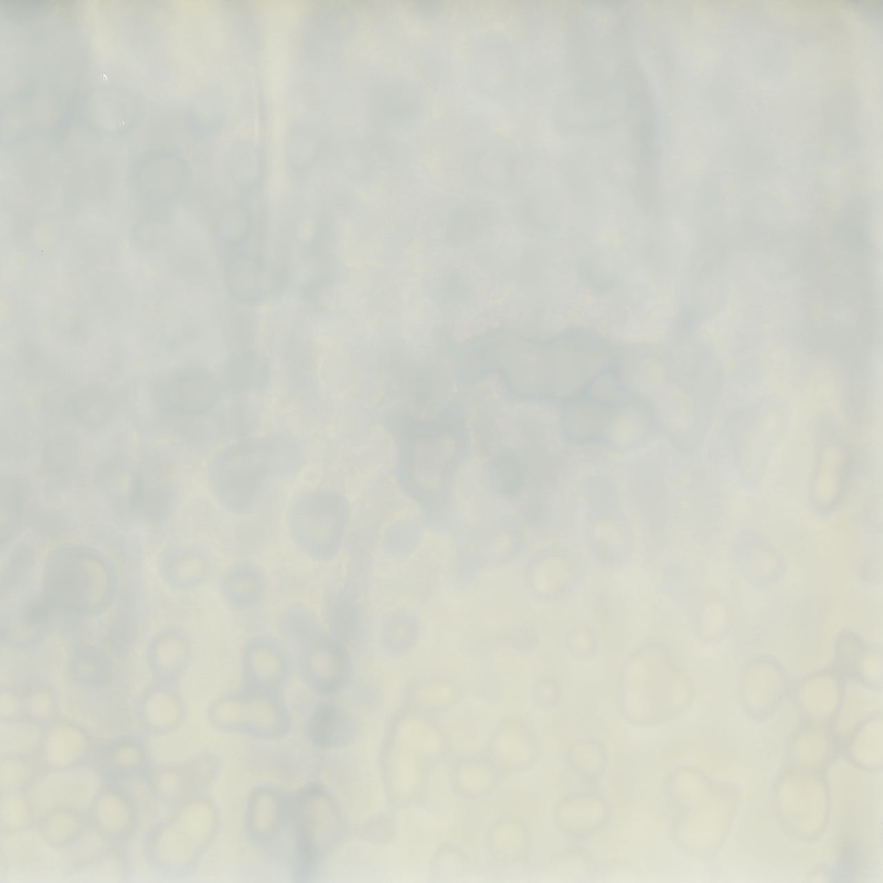 BULLSEYE 6218-00 BULLSEYE 6218-00