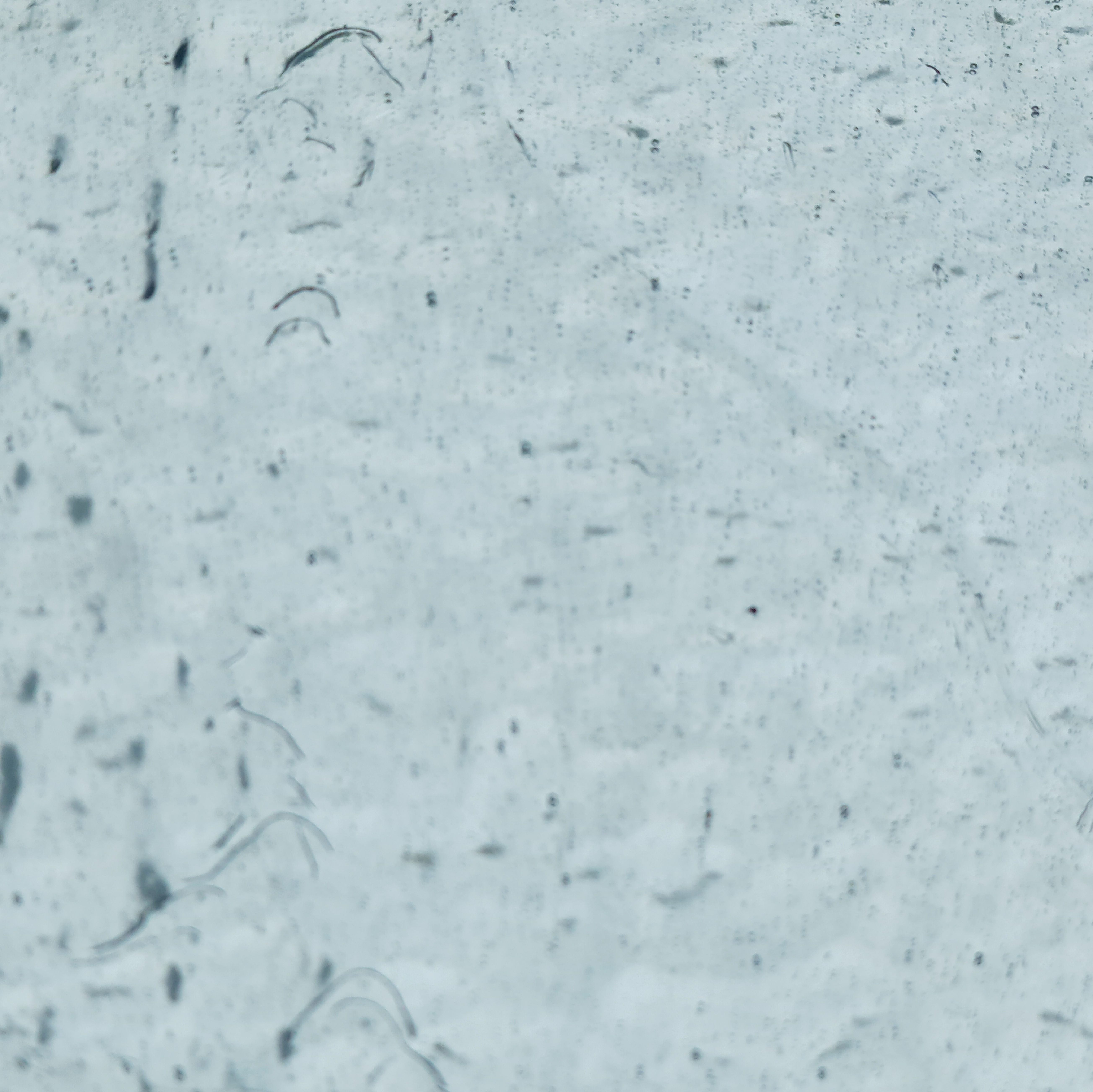 Mississippi River Glass Spiegel 8020 MB