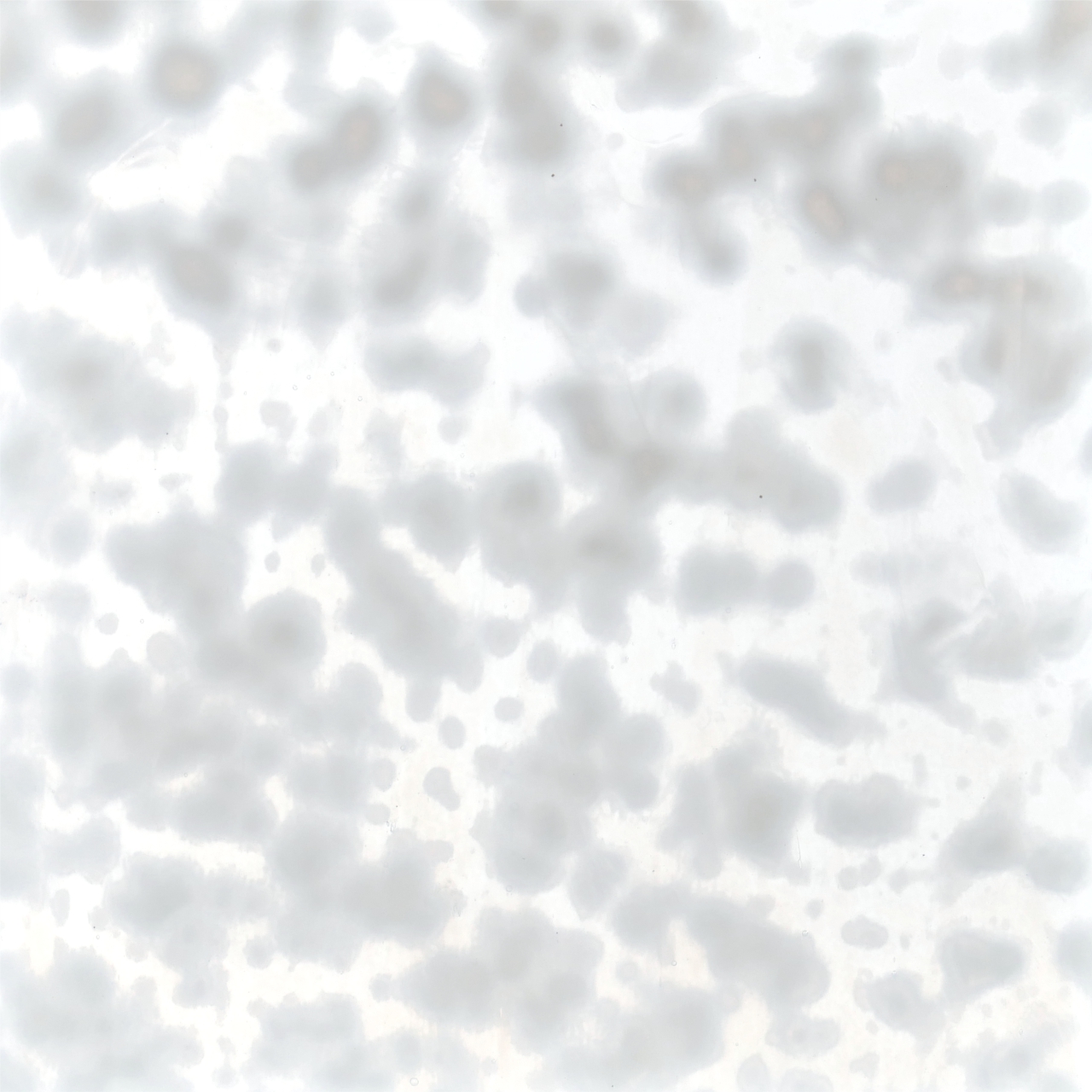 YOUGHIOGHENY 1000 HSL YOUGHIOGHENY 1000 HSL