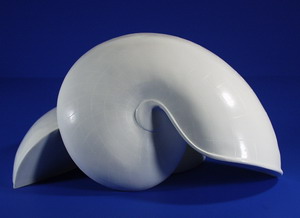 Forma de lámpara Nautilus 30cm Forma de lámpara Nautilus 30cm