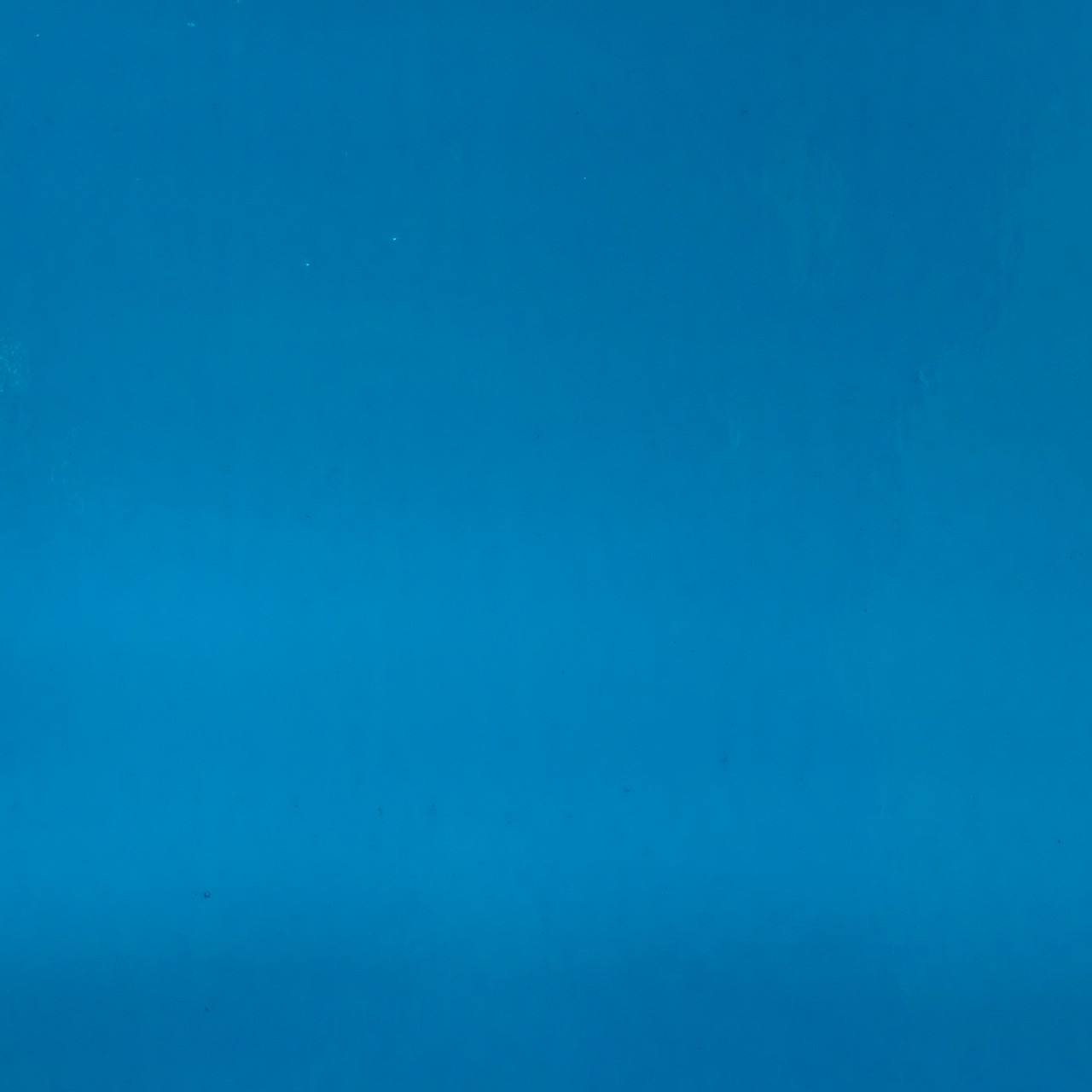 WISSMACH 96-43 82x53cm