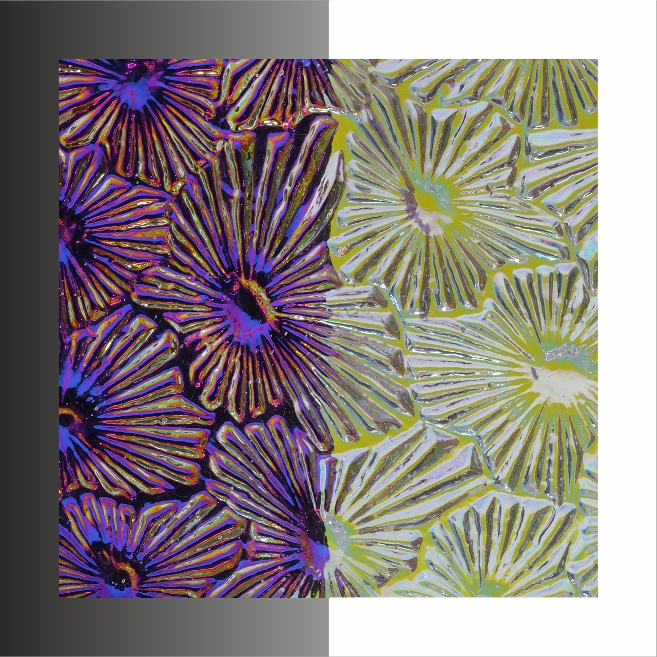 CBS Dichroic WTC-96 Florentine G/M COE90
