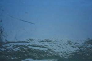 1/2-CBS Dichroic 0100-50 Y/B COE90 1/2-CBS Dichroic 0100-50 Y/B COE90