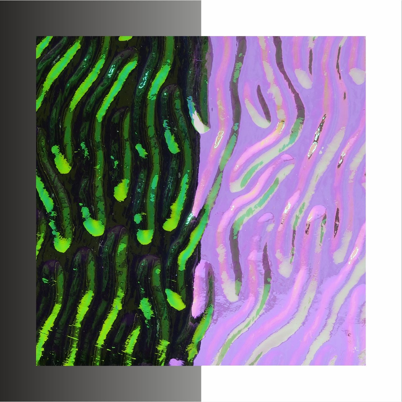 CBS Dichroic WTC-96 Stream X EMERALD COE96