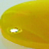 cabochon 6mm jaune opaque cabochon 6mm jaune opaque