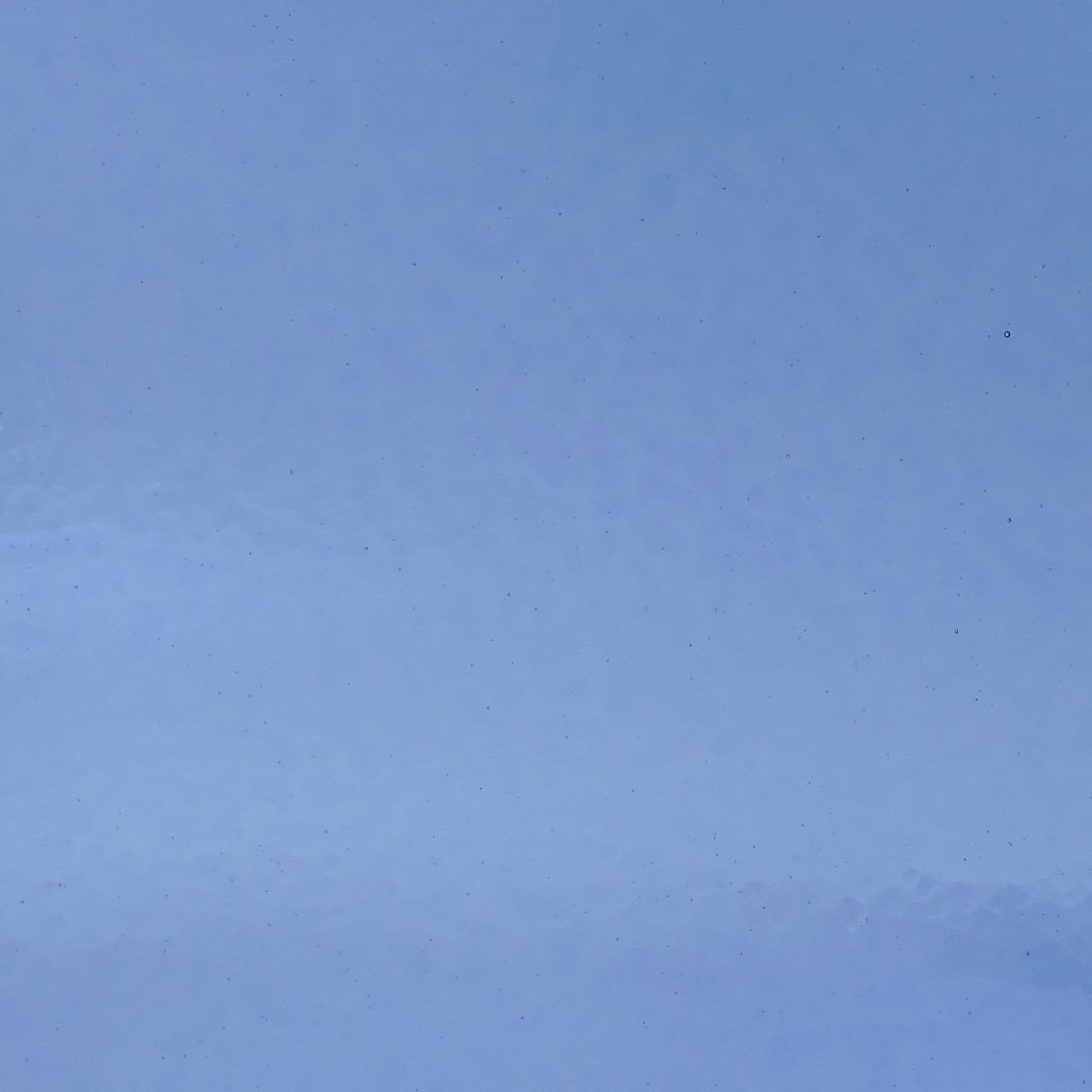 WISSMACH 189 Corella Classic 82x53cm WISSMACH 189 Corella Classic 82x53cm