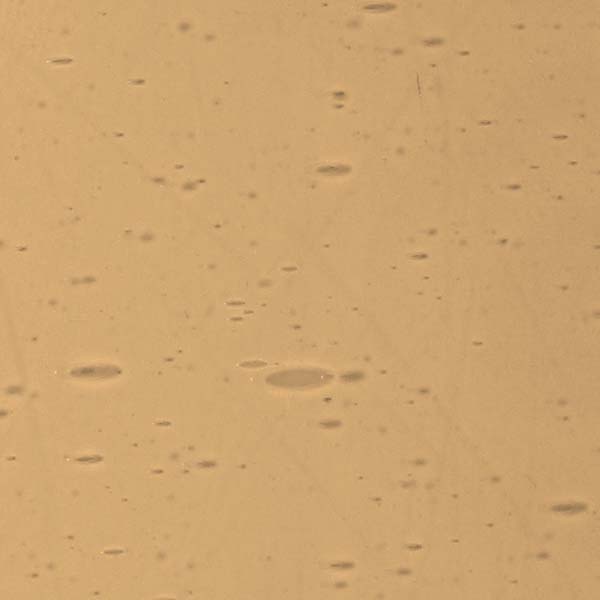 LAMBERTS 861xx LAMBERTS 861xx