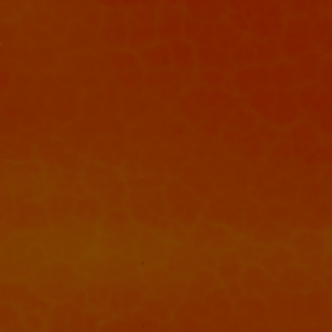 WISSMACH 310XX Mystic 20x30cm