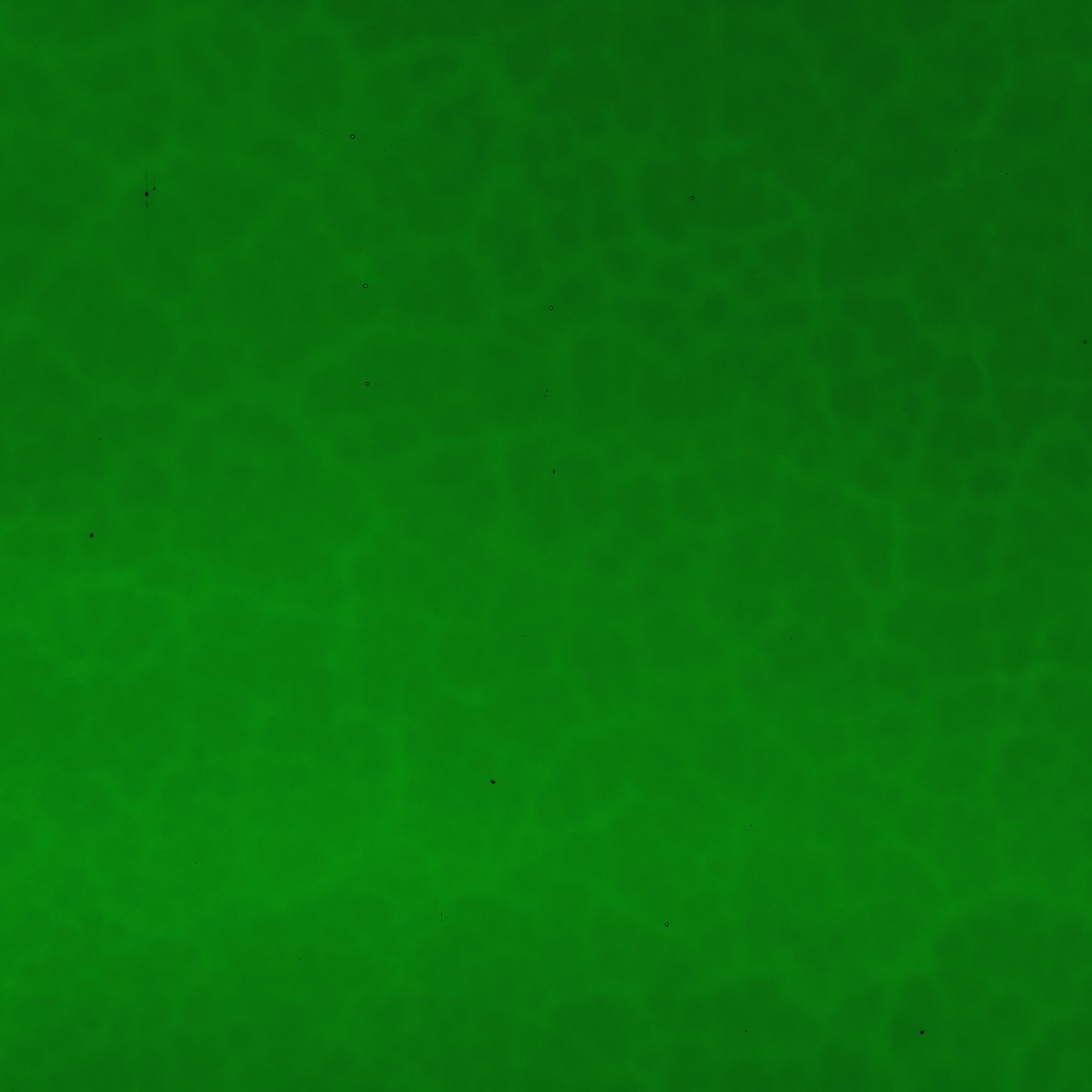 WISSMACH 320 Mystic 82x53cm WISSMACH 320 Mystic 82x53cm