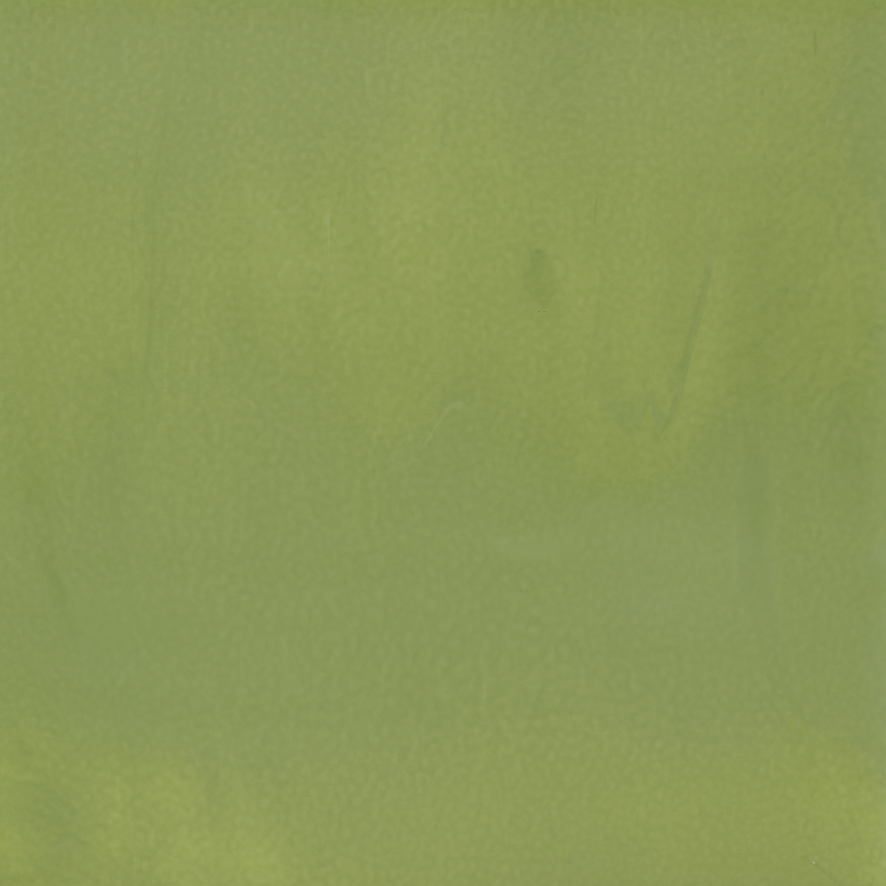 BULLSEYE 0207-50F BULLSEYE 0207-50F