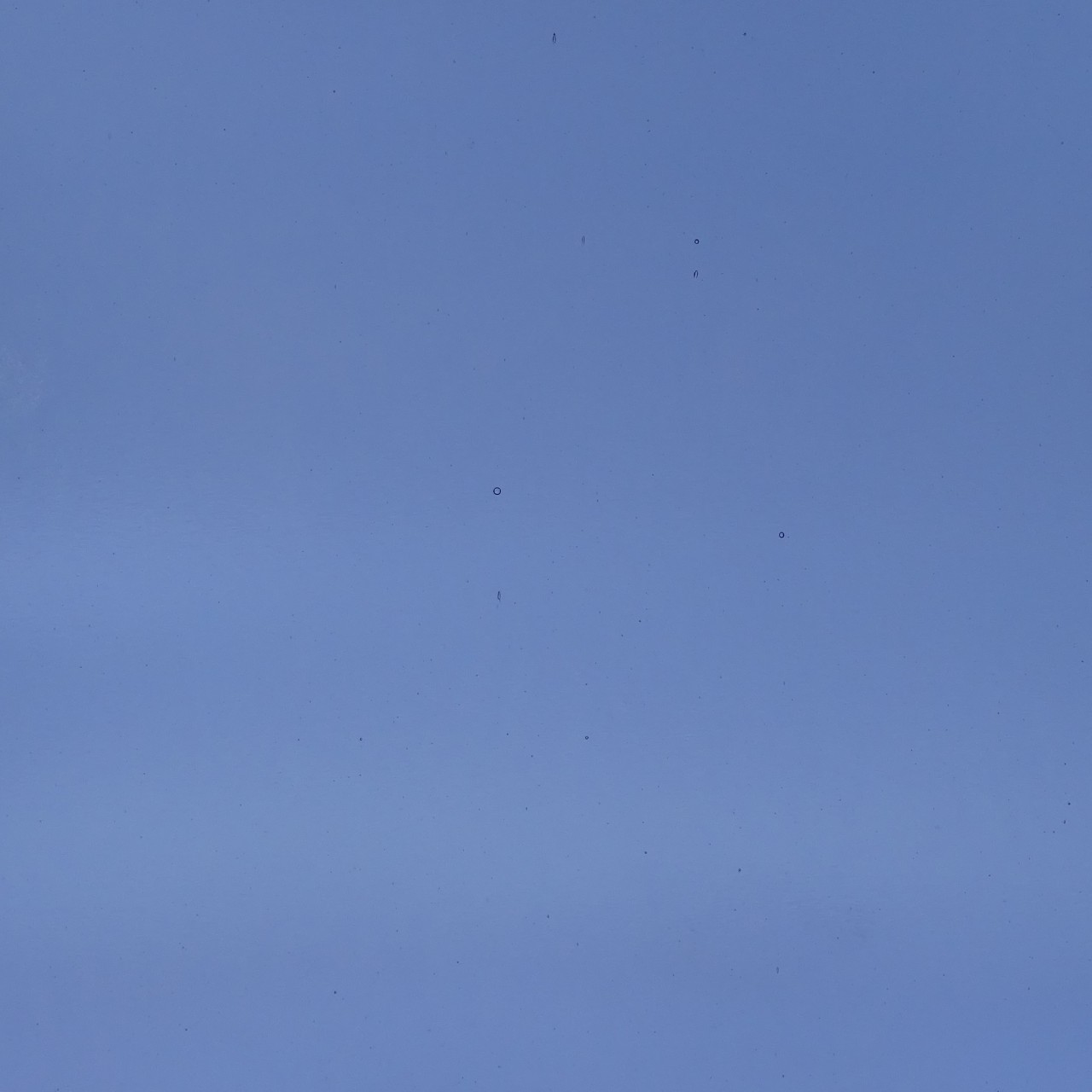 WISSMACH 96-15 20x30cm