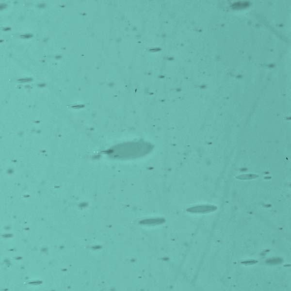 LAMBERTS 2235xx LAMBERTS 2235xx