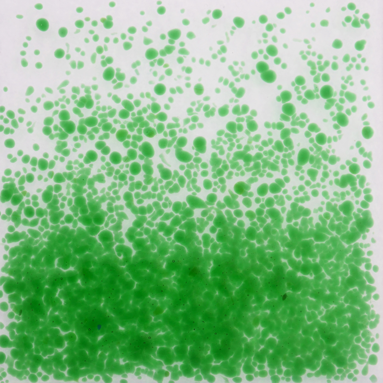 OPTUL FLOAT Frittes 0076 1 kg K-3 OPTUL FLOAT Frittes 0076 1 kg K-3